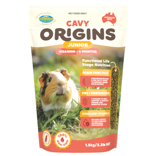Beautiful view of Cavy Diet Examples