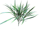 10 x Artificial Grass Plant 50cm