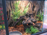 Jungle Background 3D Board 60cm