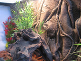 Jungle Background 3D Board 60cm