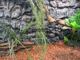 Artificial Grass Plant 40cm