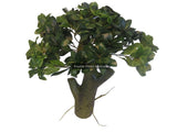 Artificial Plant 40cm