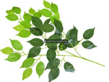Artificial Fiscus Branch 65cm
