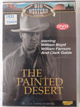 The Painted Desert - DVD - used