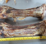 Dried Beef Bone Marrow Large 40cm