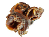 Dried Beef Cow ear scrolls 1kg