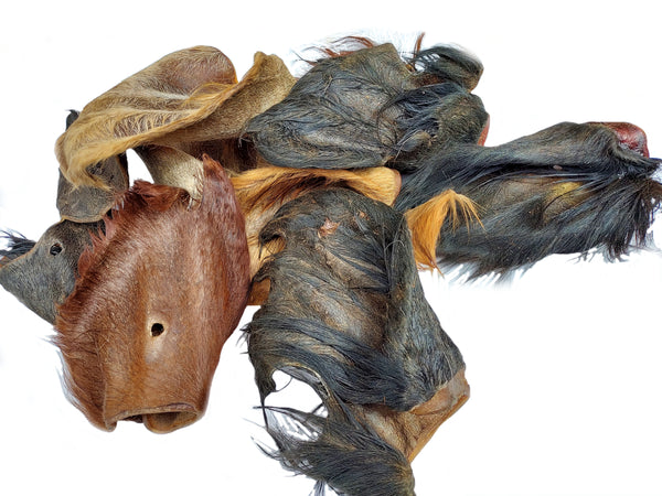 Dried Beef Cow ears with hair small 10-15cm 20pc