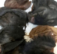 Dried Beef Cow ears with hair large 15-20cm 10pc