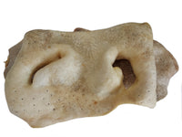 Dried Beef Snouts 1kg dog treat