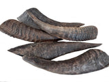Goat Horn No Marrow 1pc large Australian pet dog chew treat