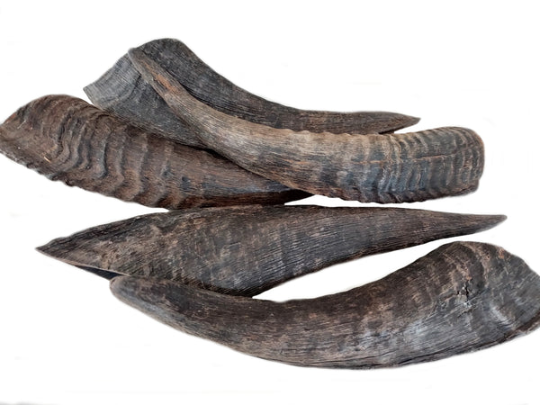 Goat Horn No Marrow 15-20cm 1kg