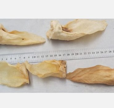 Dried Kangaroo Ears 1kg dog treat