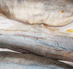Dried Mackerel Fish Jerky Fillet 250g dog treat