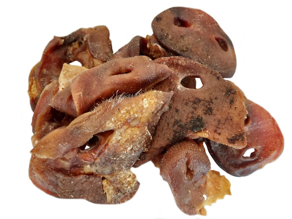 Dried Pig Snouts 50pc dog treat