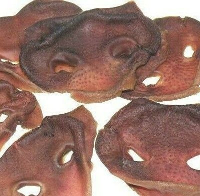 Dried Pig Snouts 10pc dog treat