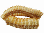 Dried Shark Cartilage medium thick 1kg