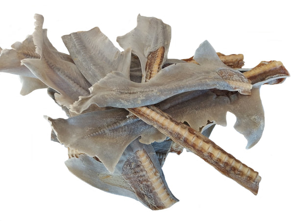 Dried Shark Tail Fin 1kg dog treat