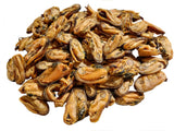 Dried Green Lipped Mussels 500g Australian pet dog chew treat