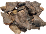 Dried Wild Boar Ears 20pc Australian pet dog chew treat