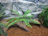 10 x Artificial Fern Plant 30cm