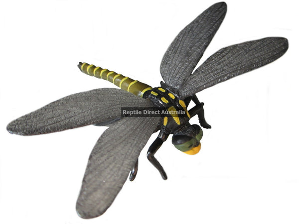 Collecta Golden Tailed Dragonfly replica toy 8cm