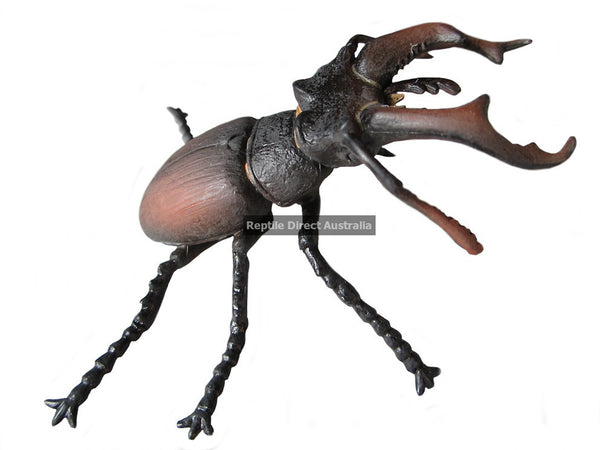 Collecta Stag Beetle replica toy 6.5cm