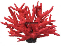 Coral Aquarium Ornament Large