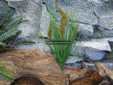 Artificial Grass Plant Brown Flower 45cm