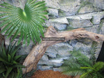 Artificial Fan Palm Leaf 70cm